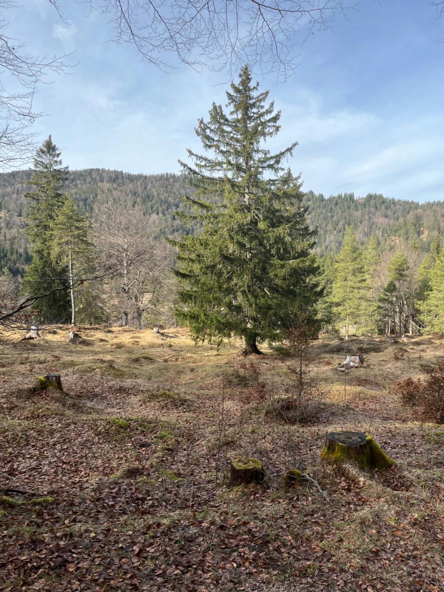 Fewo Lautersee Mittenwald Luaran gambar