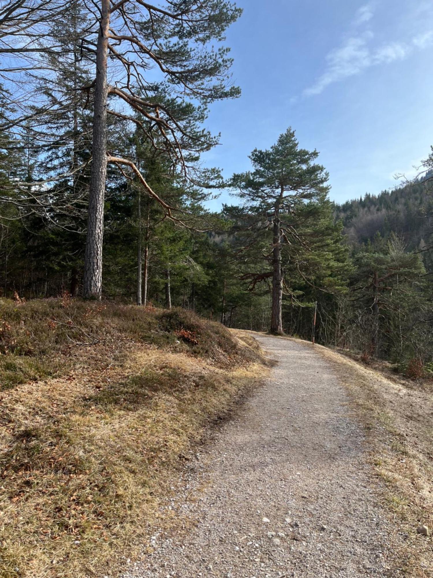 Fewo Lautersee Mittenwald Luaran gambar