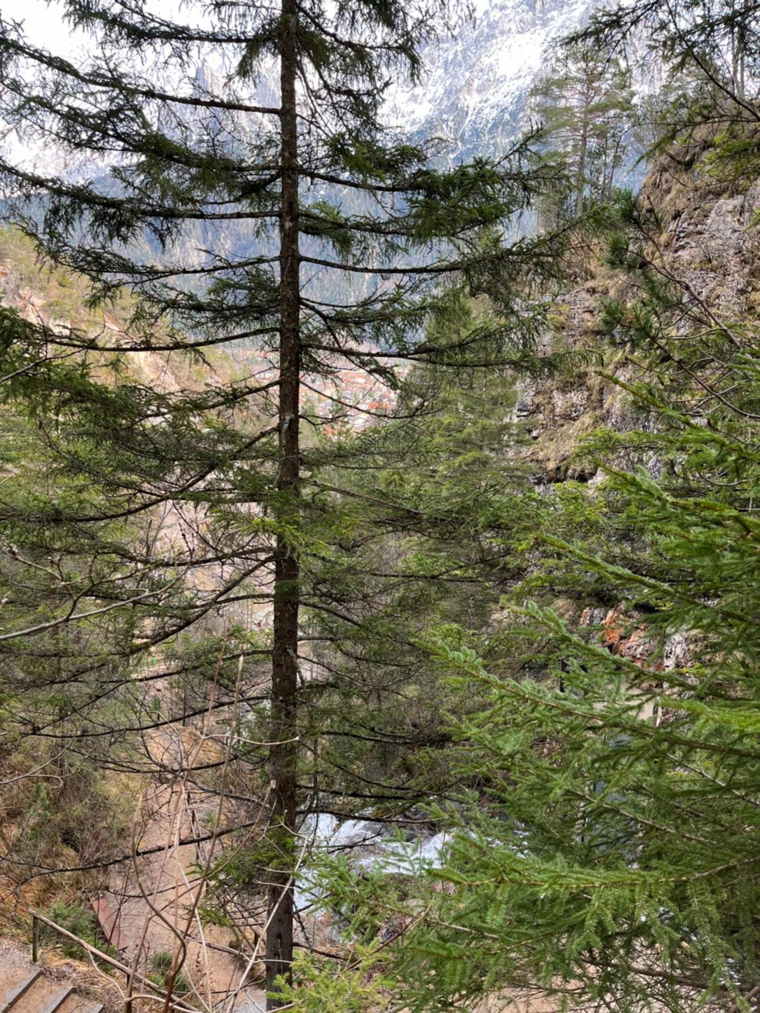 Fewo Lautersee Mittenwald Luaran gambar